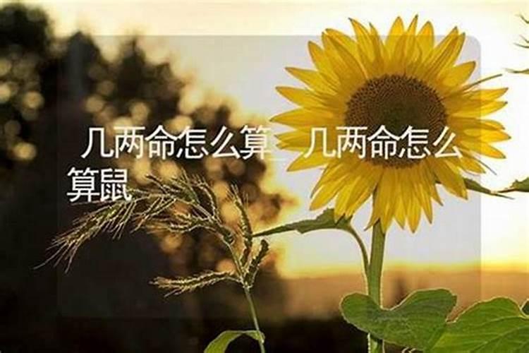人有几两命如何算