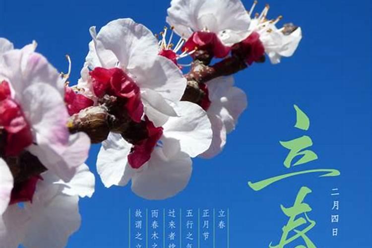 小年上坟还是立春上坟好