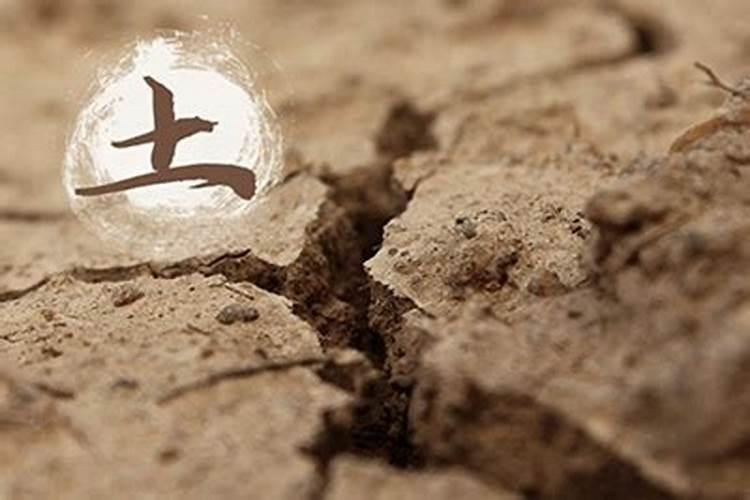 戊申大驿土在2024年财运好吗