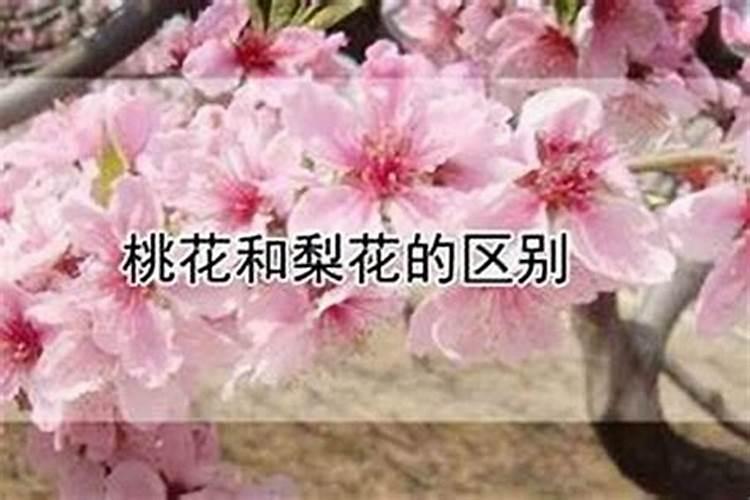 88年属龙人在2025年的全年运势