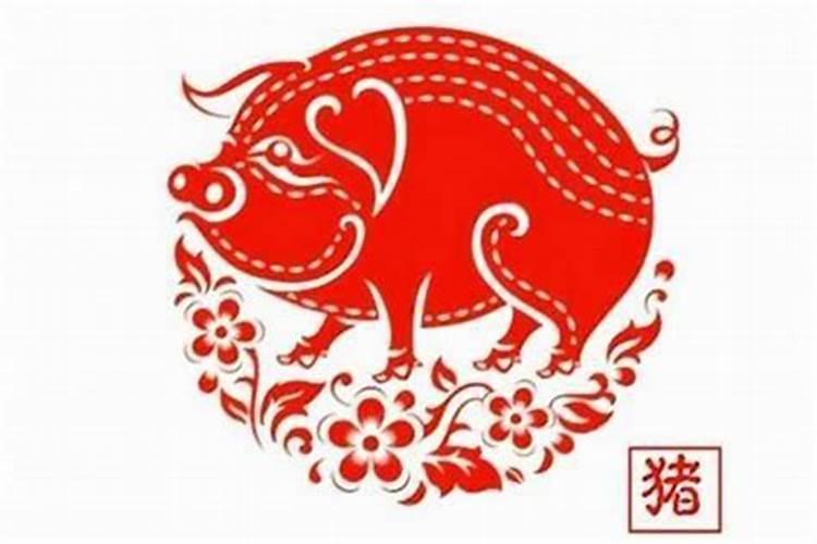 1995年属猪什么命,1995年属猪的最佳婚配
