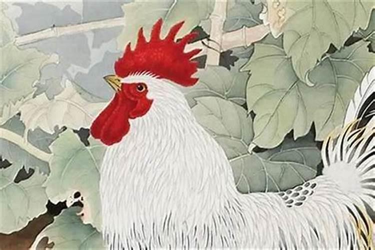 属鸡生二月好不好,属鸡的二月生是什么命运