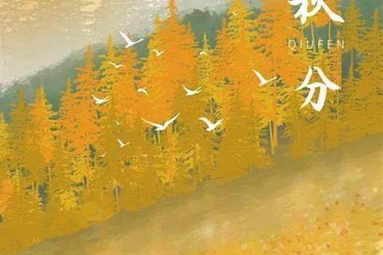秋分节气出生的人好吗