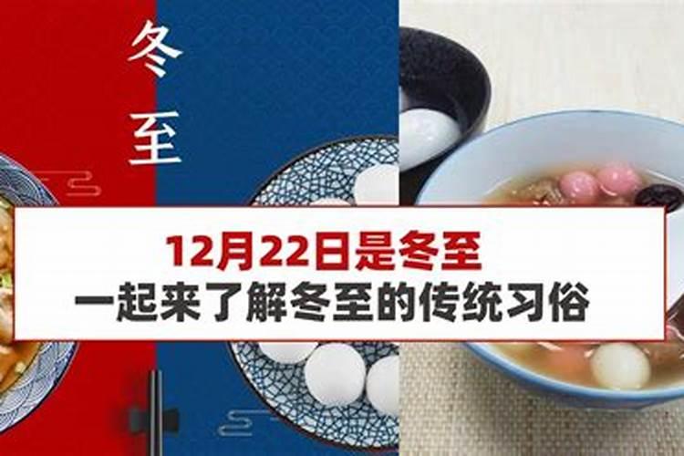 狗和牛的属相合不合