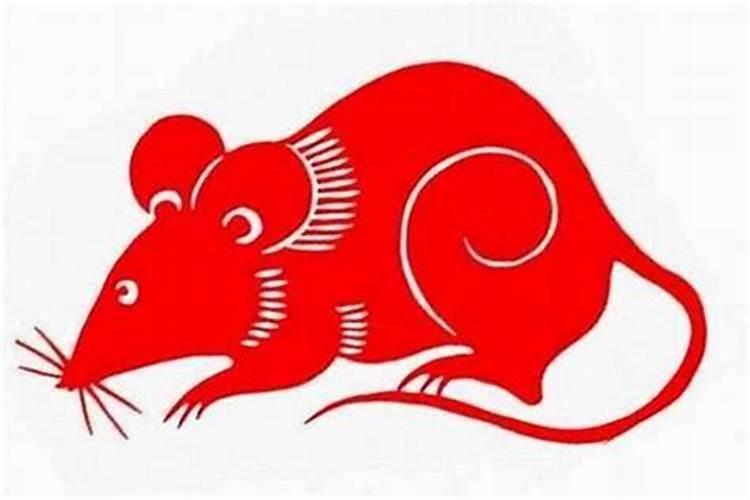 双鱼座2025年下半年运势