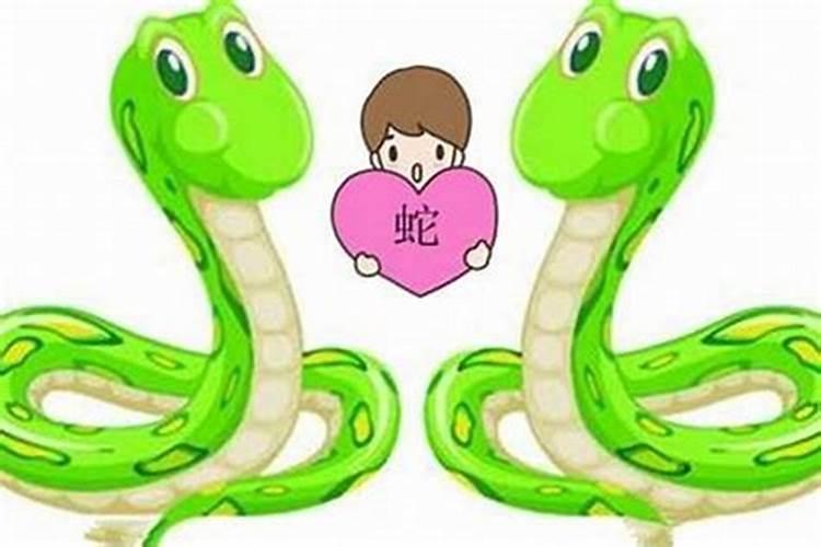 男属龙女属蛇相配吗