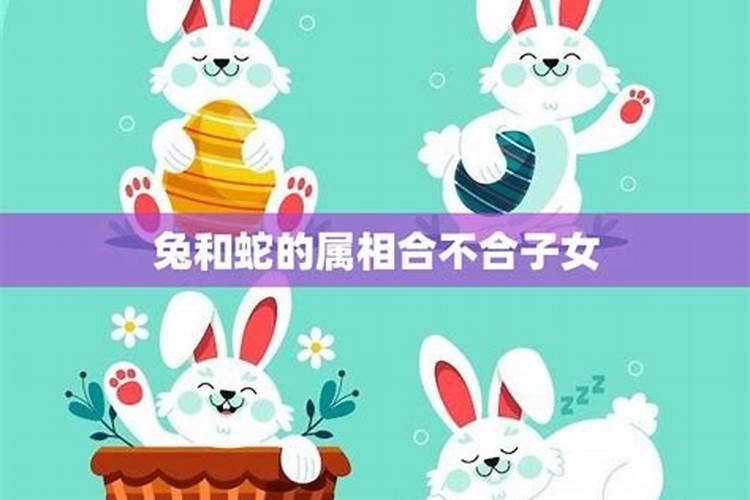 男朋友是87年属兔的,我是89年属蛇的请问合不合