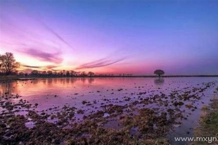 周公解梦梦到浑水是什么意思 周公解梦梦到浑水的含义