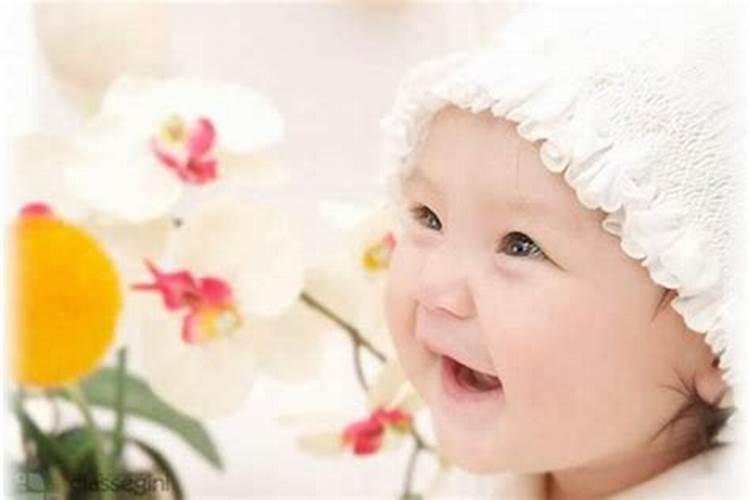 2025属兔人全年12个月运势如何
