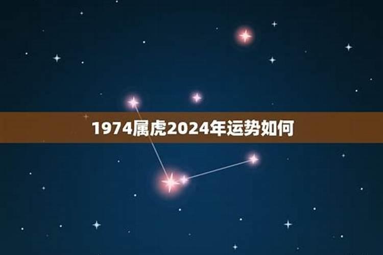 2022年的生肖虎学业运怎样？