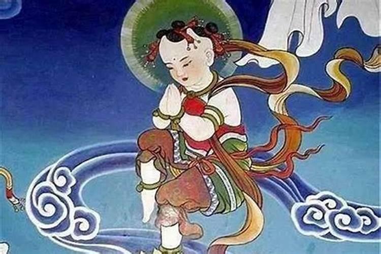 生肖猪2025年运势 属猪2025年运势及运程