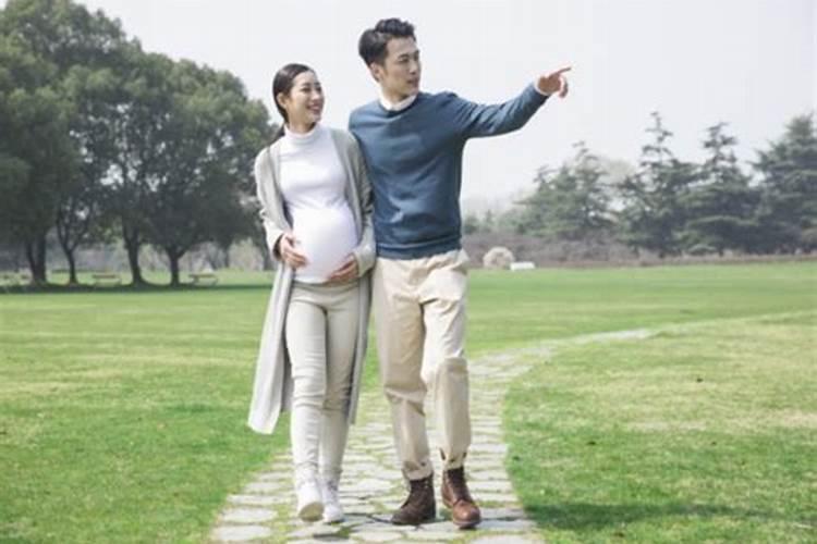梦见2个孕妇