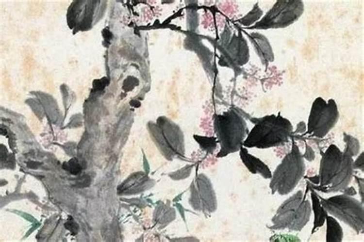 冬至生的孩子取什么名字好 此日生爱情运美好