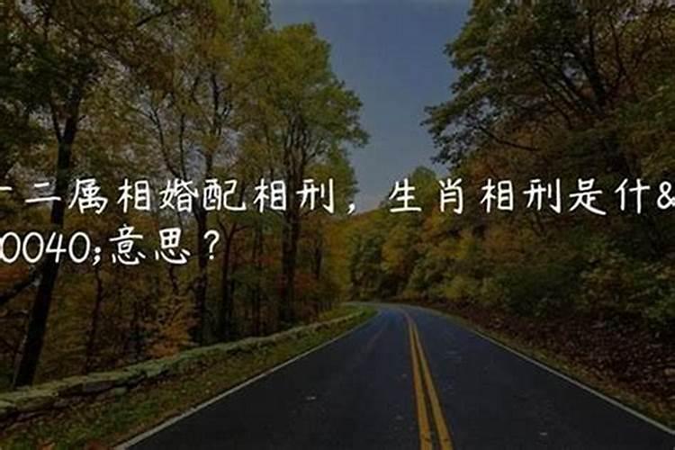 夫妻属相相克如何化解婚姻属相配对禁忌