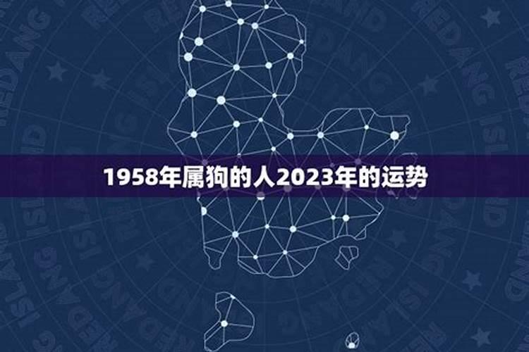58年属狗女2024年运势及运程 1958年属狗女晚年命运