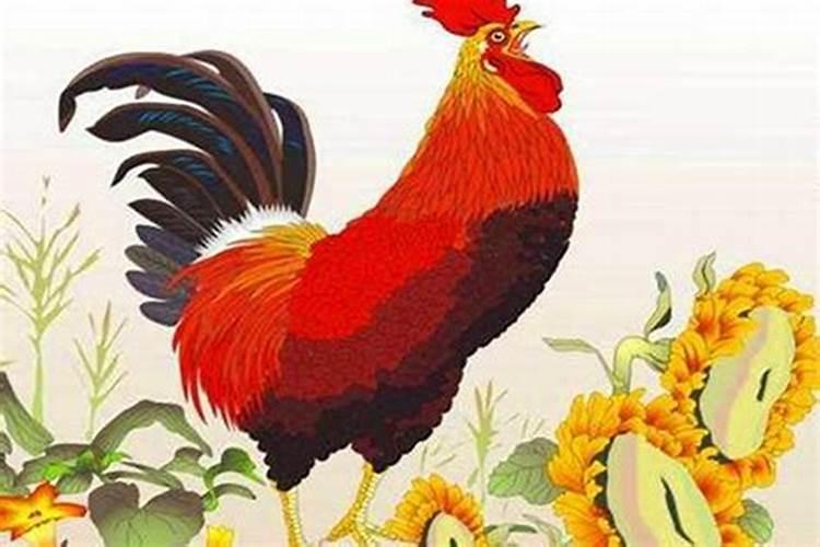 属鸡处女座2025年6月份属鸡处女座运程