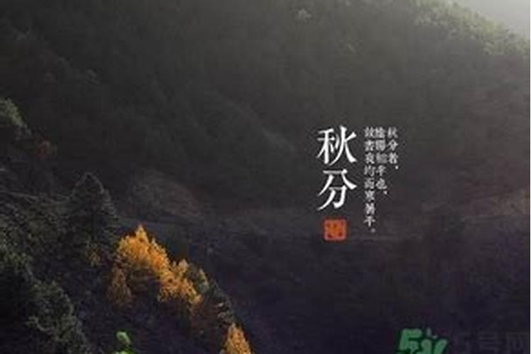 什么叫命带两重文昌星？请高人、术士进来指点