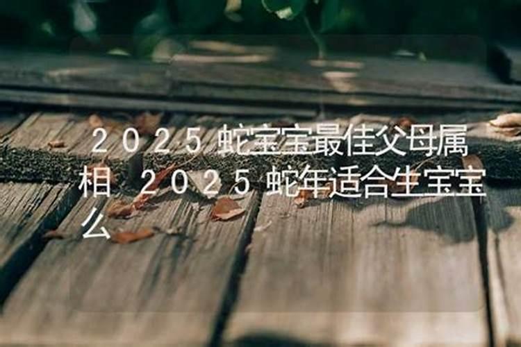 2025年12月出生的蛇宝宝取名