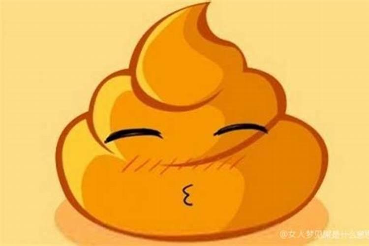 梦见上厕所看到到处都是屎的预兆