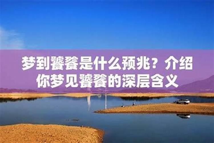属猴女2025年运势
