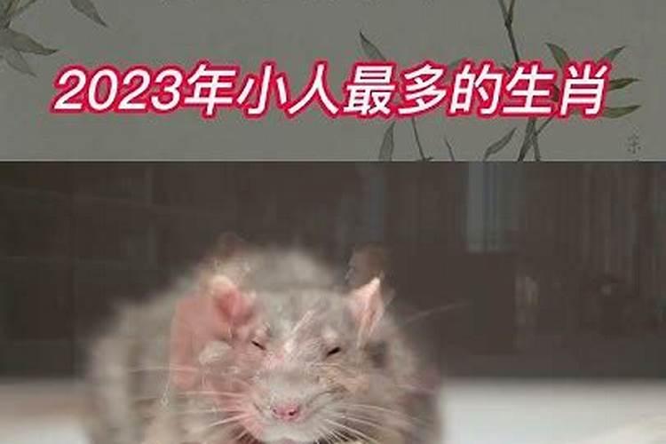 小心点!这些生肖最容易被小人盯上