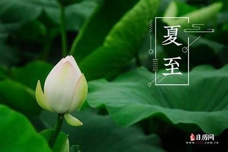 2025属狗人全年12个月运势