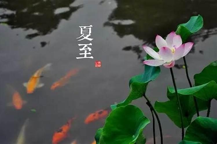 2025年属狗人的全年每月运势