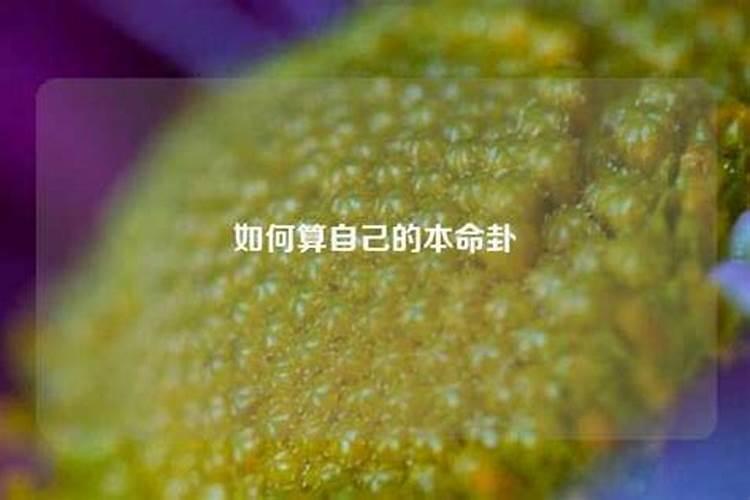 1988年属龙人2025全年运势详解
