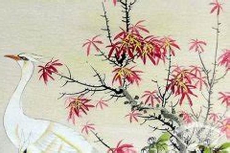 生辰八字算命几斤几两对照表解释