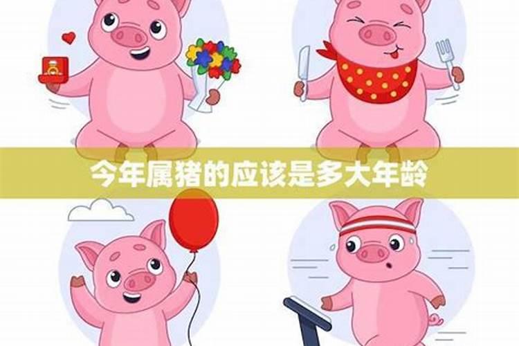 21年71年属猪的全年运程 健康方面多注意？