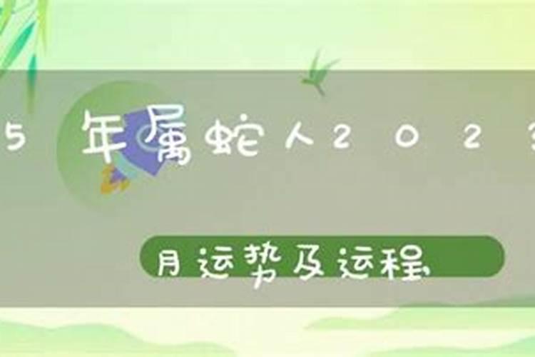 生肖蛇1965年2025年运势如何 生肖蛇1965年2025年全年运势