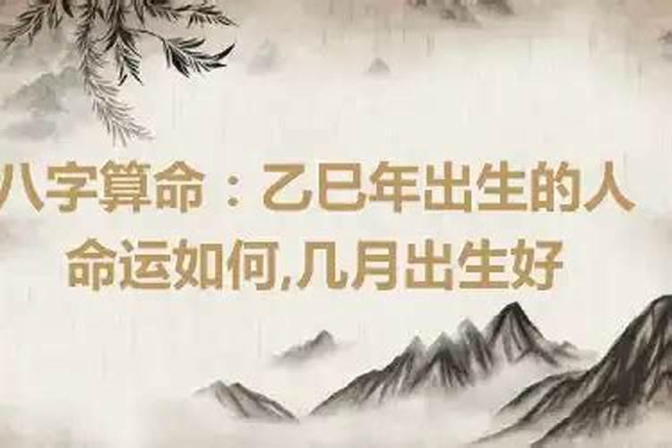 乙巳日主大富大贵 大多财运亨通