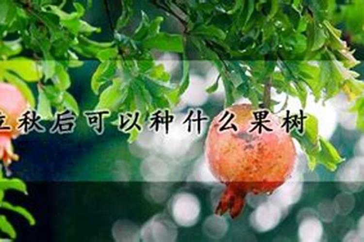 太岁符怎么烧在哪里烧,烧太岁符的时候要注意什么