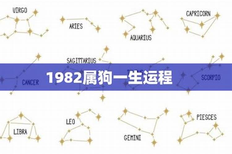 81年属鸡人何时走大运 1981年肖鸡人30岁后有大作为？