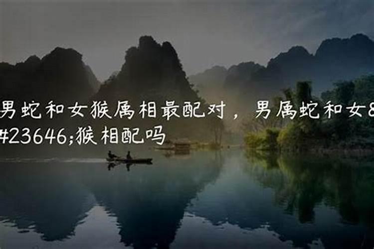 属蛇男和属猴女
