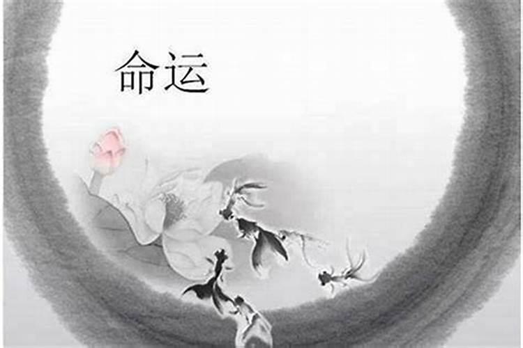 如何看一个人的财运