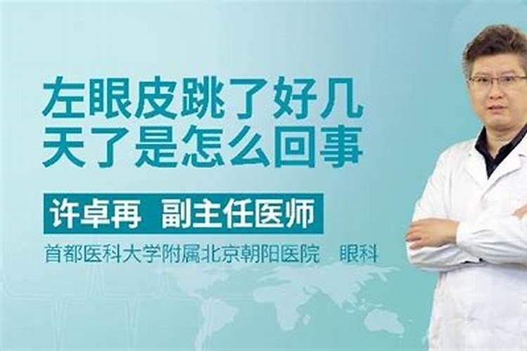 1997年农历1月24日,国历多少？什么星座