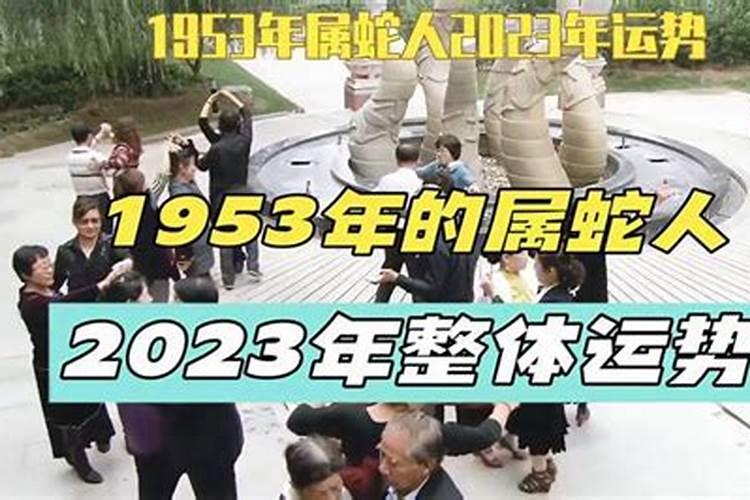 不同年份出生的属蛇男女2024年运程
