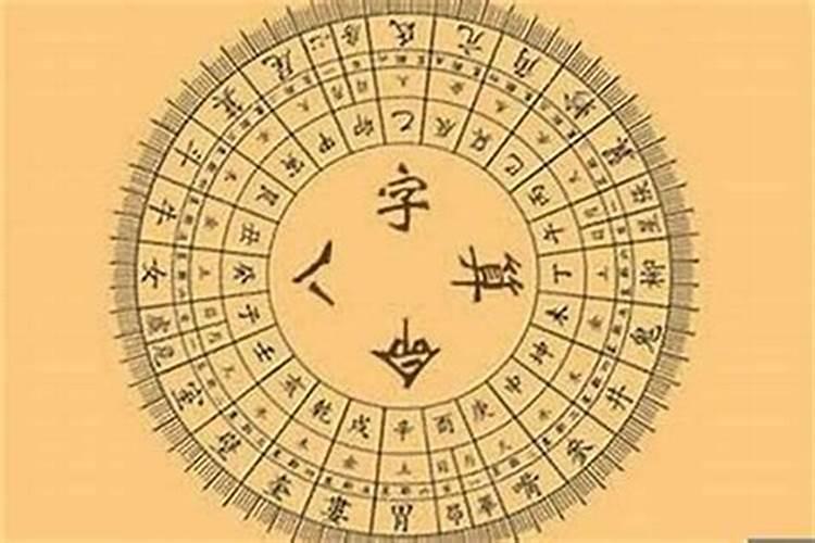 2025年属什么生肖2025年属哪个生肖