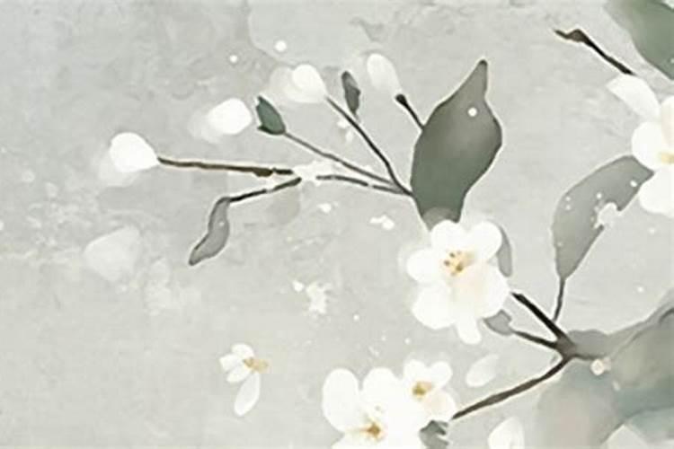 花姐命替完身后样貌会好看吗？