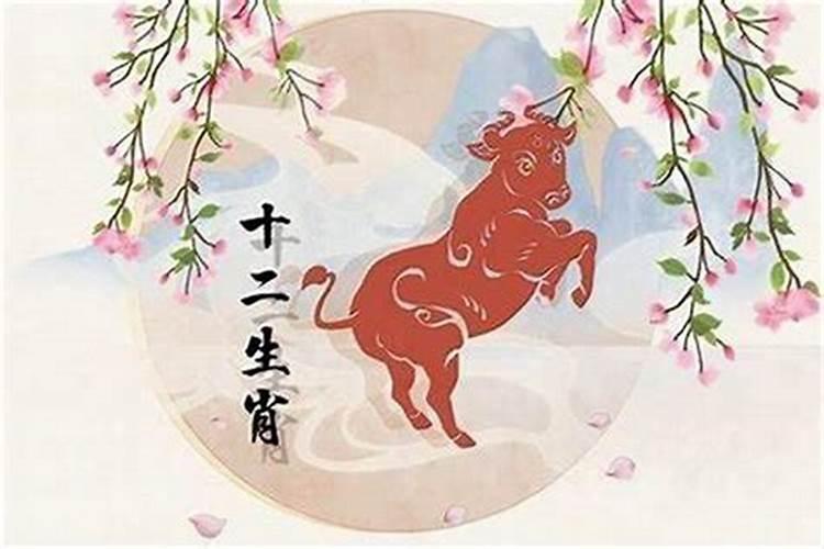 属牛的人本命年化解太岁的方式