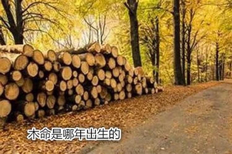 中秋节吃什么食物