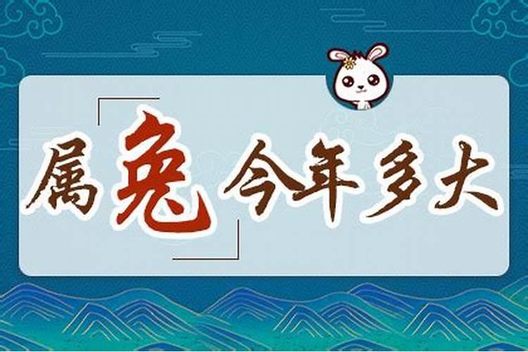 2025属兔人的全年运势如何