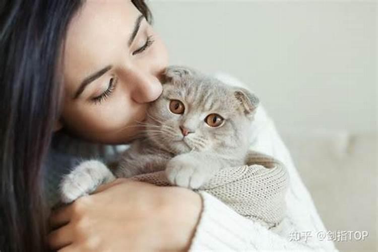 养猫会带来什么运气 有利于风水吗