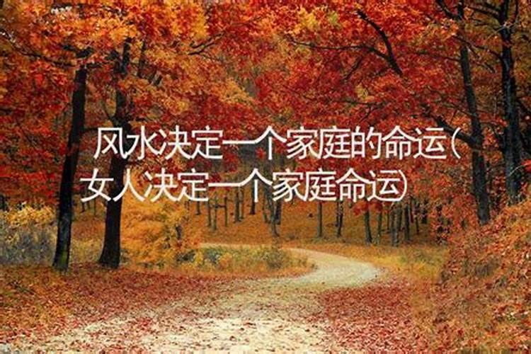 女人的这个本事,决定了一个家庭的命运？