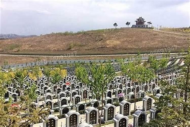 属龙值太岁如何化解