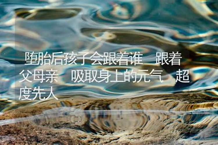 2010年2月1号出生是几周
