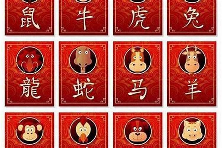 十二生肖女生最适合的配对 女孩配什么生肖好