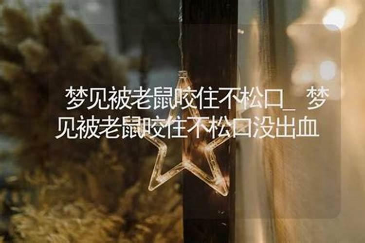 已婚女人梦到老鼠咬我胳膊