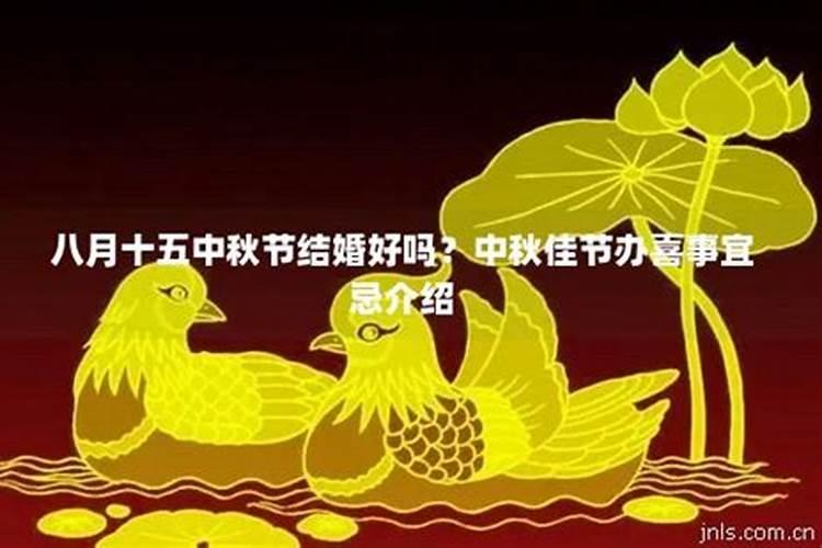 生肖牛2025年运势及运程如何